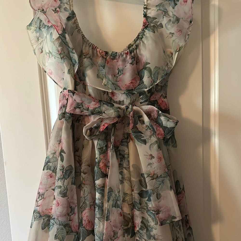 Selkie Floral Maxi Dress in Pale Green and Pink - Picture 4 of 5